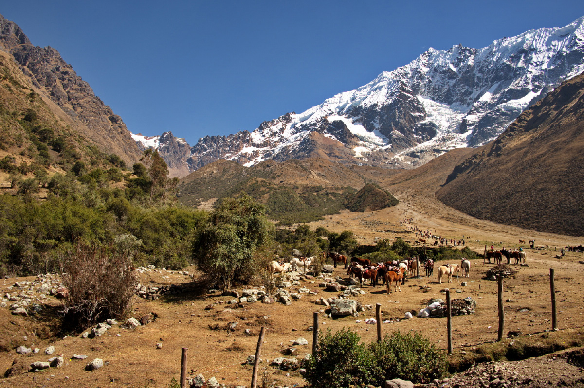 Salkantay Mountain
